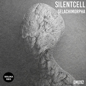 Обложка для Silentcell - Back To The Origins