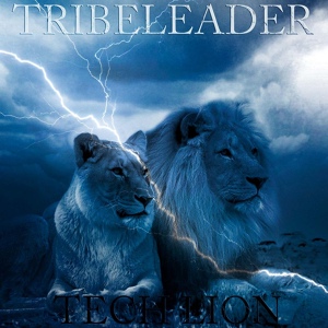 Обложка для Tribeleader - Meditation 7