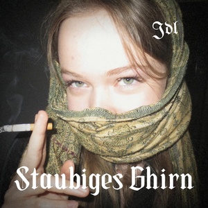 Обложка для Jdl - Staubiges Ghirn