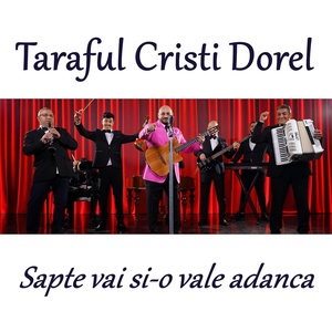 Обложка для Taraful Cristi Dorel - Sapte vai si-o vale adanca