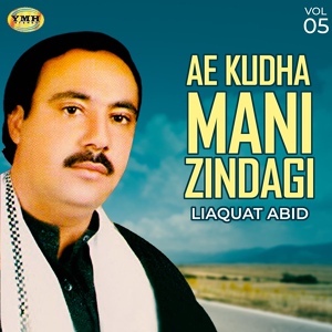 Обложка для Liaquat Abid - Ae Kudha Mani Zindagi