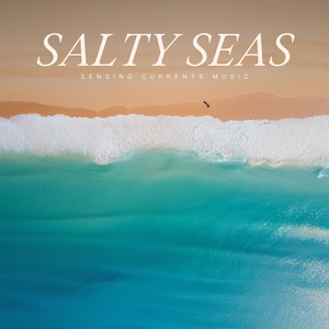 Обложка для Sea Waves Sounds - The Calm of the Ocean