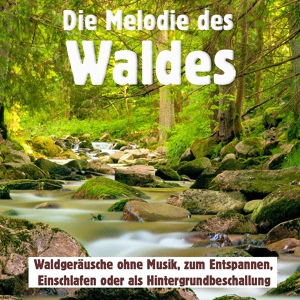 Обложка для Waldgeräusche - Bachlauf