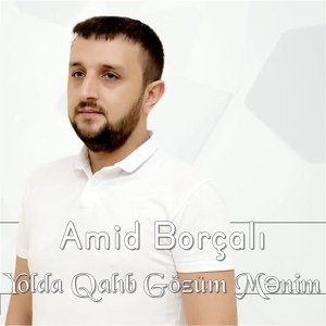 Обложка для Amid Borcali - Yolda Qalıb Gözüm Mənim