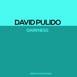 Обложка для David Pulido - Under Attack