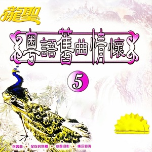 Обложка для Nan Bei Er - 情如梦