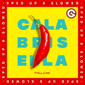 Обложка для PaulCam, speed up dj - Calabrisella