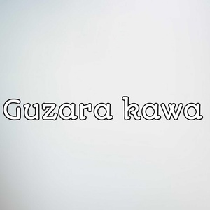 Обложка для Amin Ullah Marwat - guzara kawa