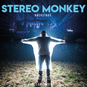 Обложка для Stereo Monkey - Acid