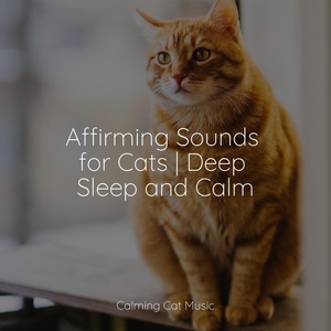 Обложка для Calm Music for Cats, RelaxMyCat, Pet Care Club - Calm