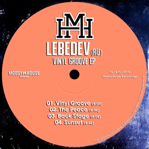 Обложка для Lebedev (RU) - Vinyl Groove (Original Mix)
