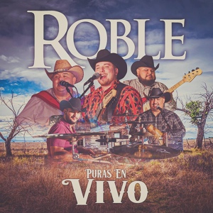 Обложка для Grupo Roble - Cumbia Navideña
