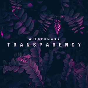 Обложка для wiedermann - Transparency