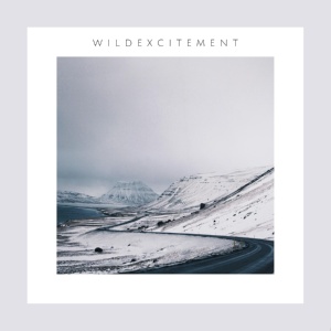 Обложка для Лерон - Wild Excitement