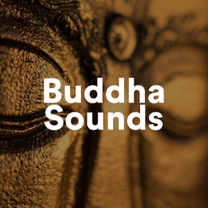 Обложка для Buddha Sounds & Frank Piano - The Om Zone