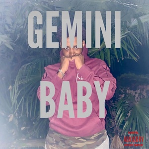 Обложка для Gemini Baby - Game