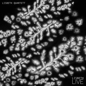 Обложка для Lisbeth Quartett - Light / No Light