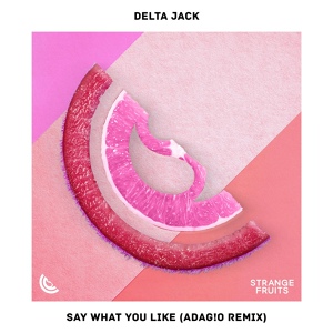 Обложка для Delta Jack - Say What You Like
