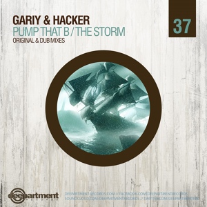 Обложка для Gariy & Hacker - The Storm