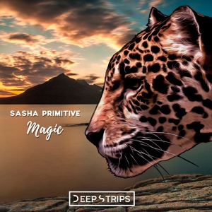 Обложка для Sasha Primitive - Magic