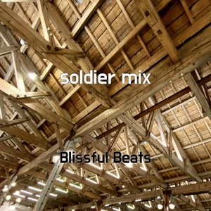 Обложка для Blissful Beats - soldier mix