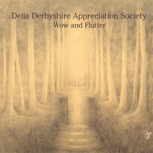 Обложка для Delia Derbyshire Appreciation Society - The Ghosts of Electricity