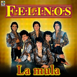 Обложка для Los Felinos - La Mula