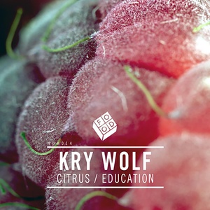 Обложка для Kry Wolf - Education