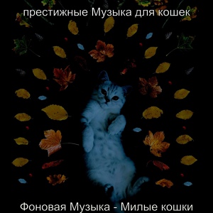 Обложка для престижные Музыка для кошек - Звуки (Котята)