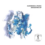 Обложка для Audiense, Mukk - Shadows