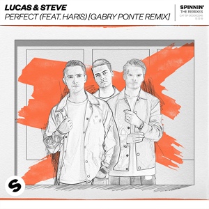 Обложка для Lucas & Steve feat. Haris - Perfect (feat. Haris)