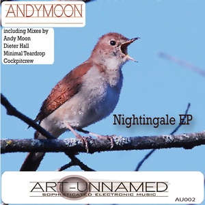 Обложка для Andy Moon - Nightingale