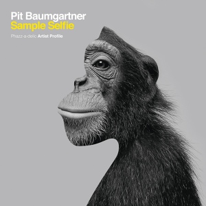 Обложка для Pit Baumgartner - Scat Cat
