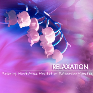 Обложка для Relaxing Mindfulness Meditation Relaxation Maestro - Zen Spa (Music for Relaxation)