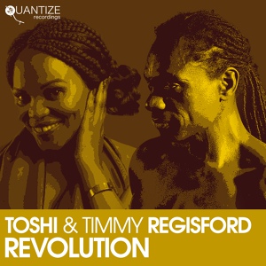 Обложка для Toshi, Timmy Regisford - Revolution