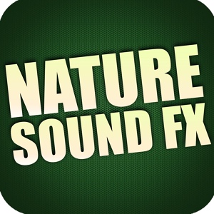 Обложка для Royalty Free Sound Effects Factory - Jungle, Nighttime, Crickets and Birds