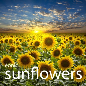 Обложка для Eonic - The Flowers Trip Pt.3