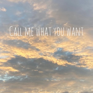 Обложка для call me what you want - Files