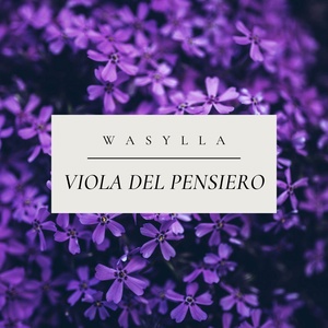 Обложка для Wasylla - Viola del pensiero