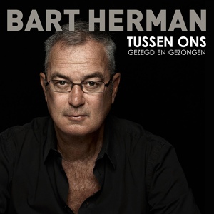 Обложка для Bart Herman - iPhone Blues