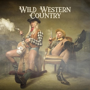 Обложка для Wild West Music Band - Cool Country Instrumental