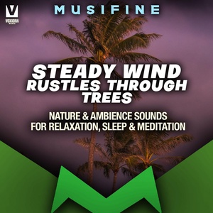 Обложка для Musifine - Steady Wind Rustles Through Trees