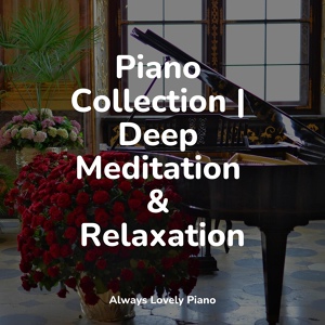 Обложка для Piano Bar Music Specialists, Relajación Piano, Piano Therapy Sessions - Curl up and Relax