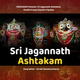 Обложка для Pandit Pratap Chandra Tripathy - Sri Jagannath Ashtakam