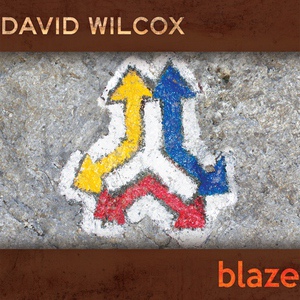 Обложка для David Wilcox - The Sacrifice