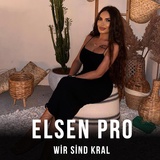 Обложка для Elsen Pro - Wir Sind Kral