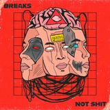 Обложка для Breaks Music - Not Shit