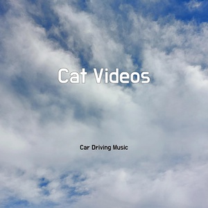 Обложка для Car Driving Music - To Time