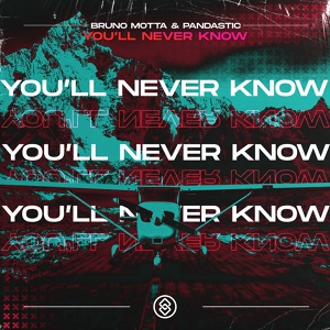 Обложка для Bruno Motta, Pandastic - You'll Never Know