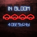 Обложка для In Bloom - Синее небо